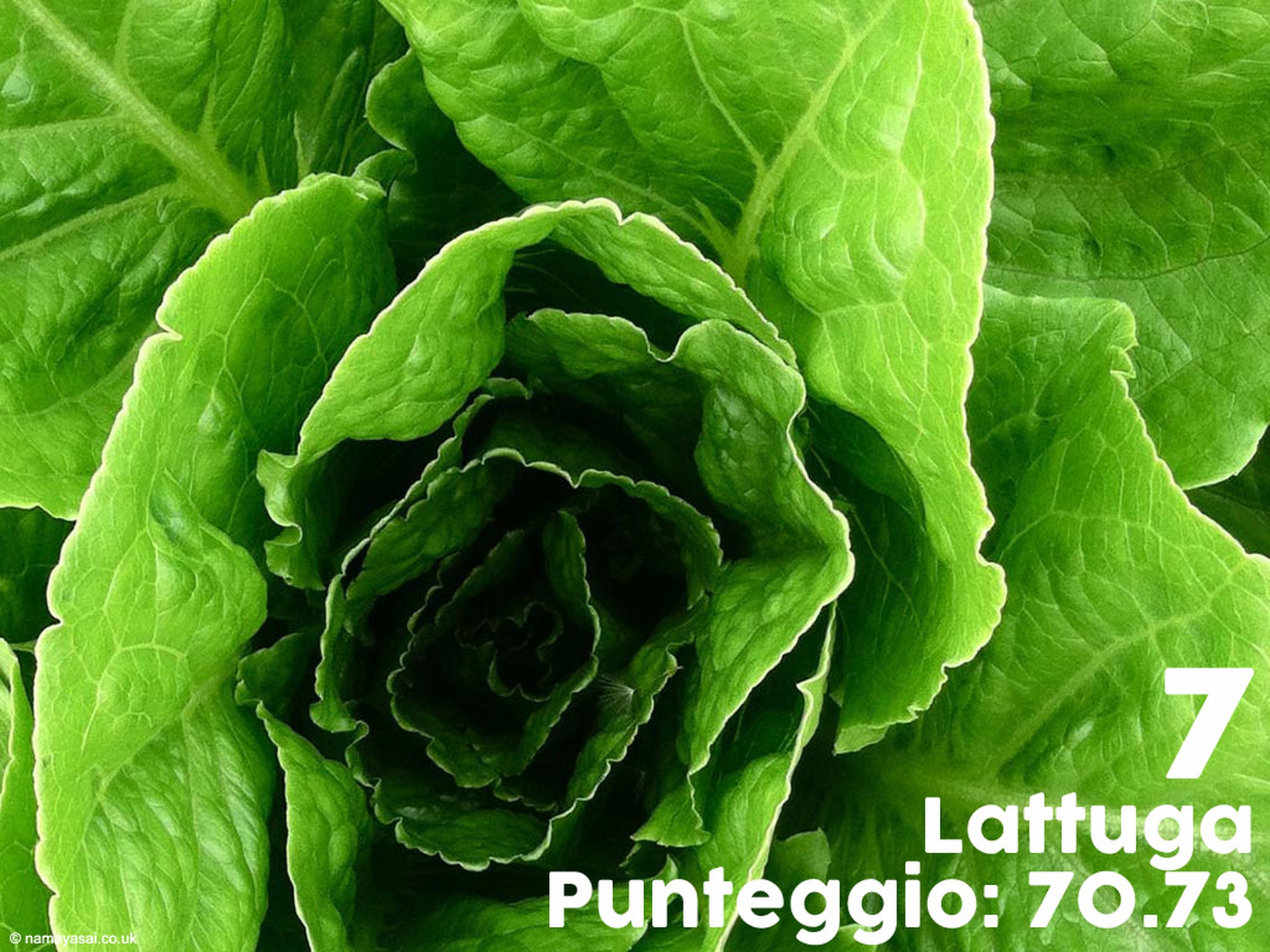 frutti-e-verdure-supernutrienti-7