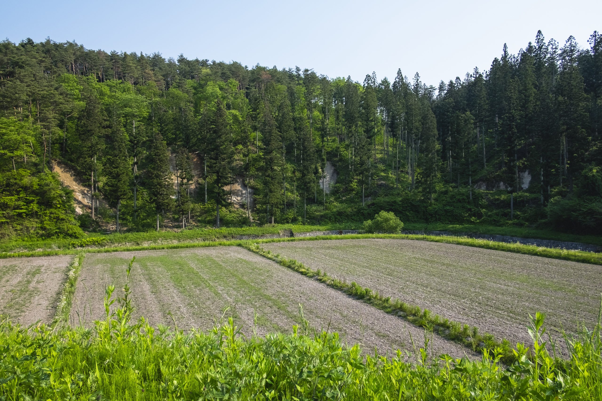 Fukushima a sei anni dal disastro
