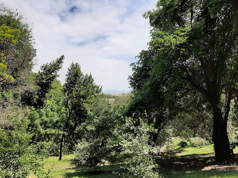 La cura del giardino e aree verdi: rischi derivanti l'uso di