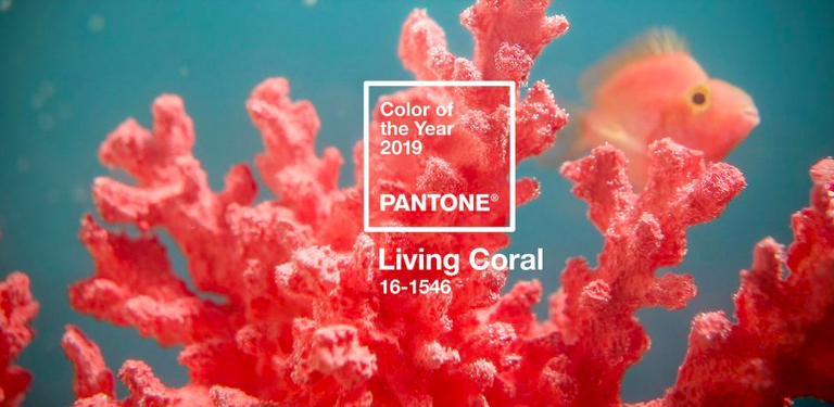  Living coral colore dell'anno 2019 Pantone