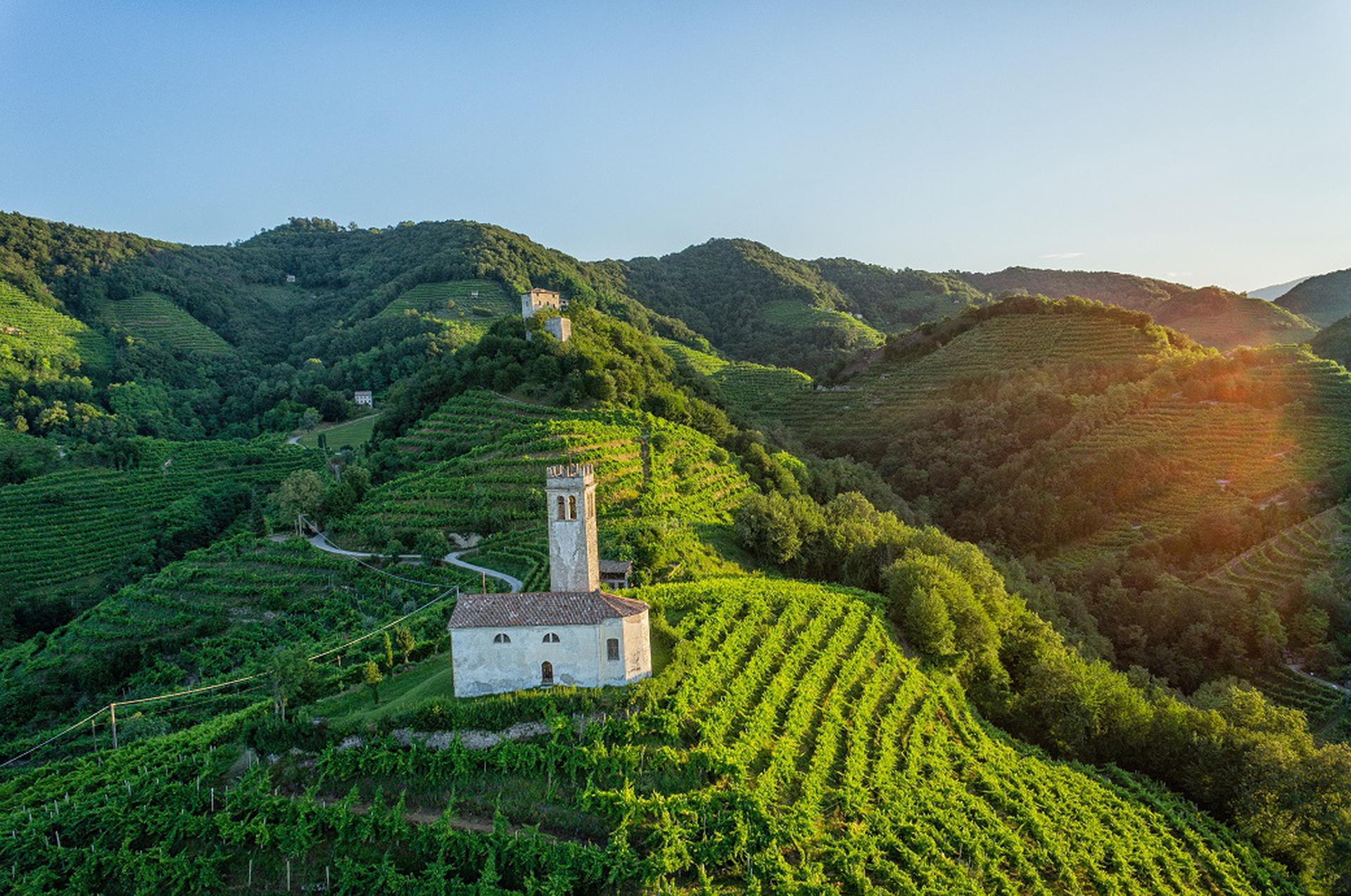 Paesaggio del Conegliano Valdobbiadene candidato a Patrimonio Unesco