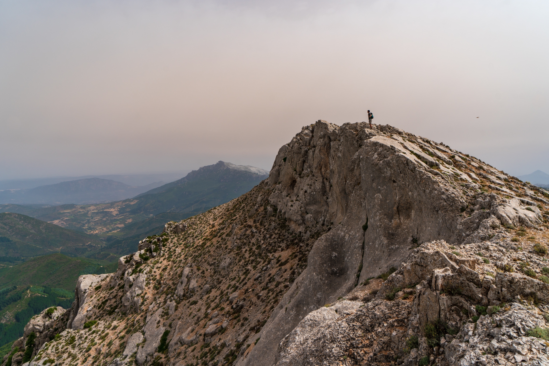 Punta Sa Pruna, Supramonte di Orgosolo (NU), Sardegna.