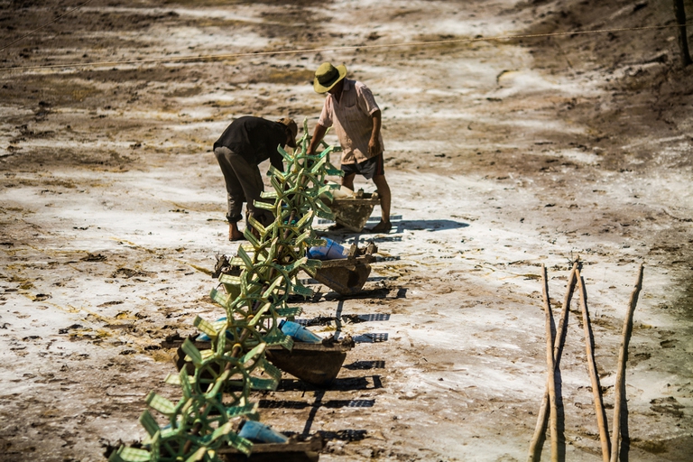 BEN TRE PROVINCE, VIETNAM - MAY 05:  Farmers work on a shrimp farm that lies dry until the next rain comes on May 05, 2016 in Ben Tre Province, Vietnam.  Vietnam's Mekong Delta had been hit by its worst drought in 90 years caused by the El Nino weather patterns and hydroelectric dams. Based on reports, nearly 140,000 hectares of the Mekong Delta in Vietnam are bone dry and contaminated by salt water, as brine from the sea pushes up the delta's channels. People in affected regions are growing desperate to find water for basic needs and huge amount of the crops for the coming harvest in Vietnam's Mekong Delta, which produces about half of the country's rice, have been spoiled. (Photo by Christian Berg/Getty Images)
