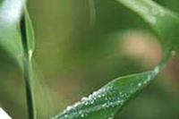 A piedi nudi per ricaricarsi di energia
