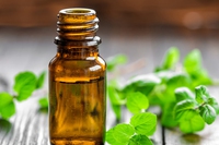 Nausea in gravidanza: rimedi naturali