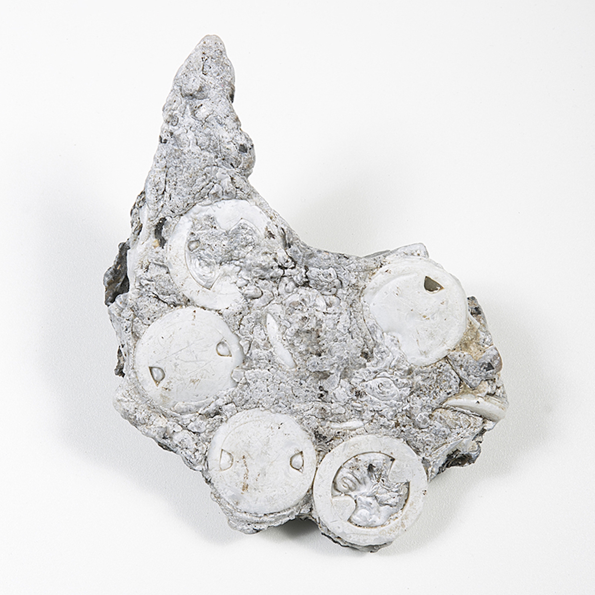 Plastiglomerate all'interno di Broken nature