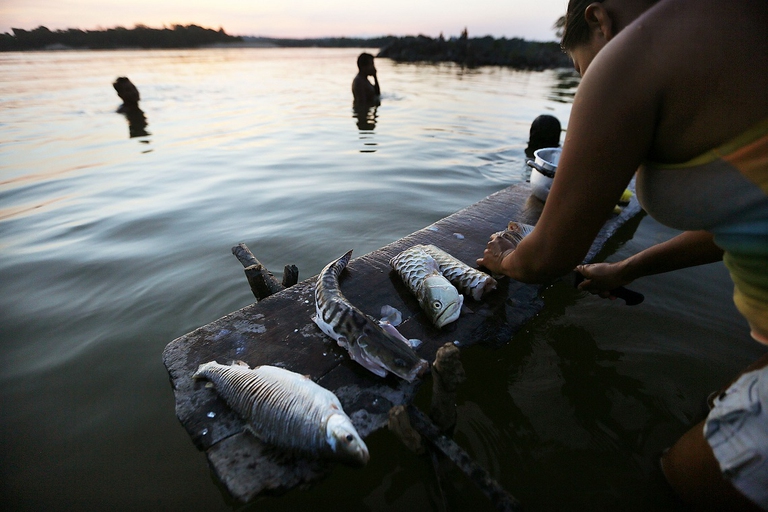 Pesci appena pescati nel Rio delle Amazzoni