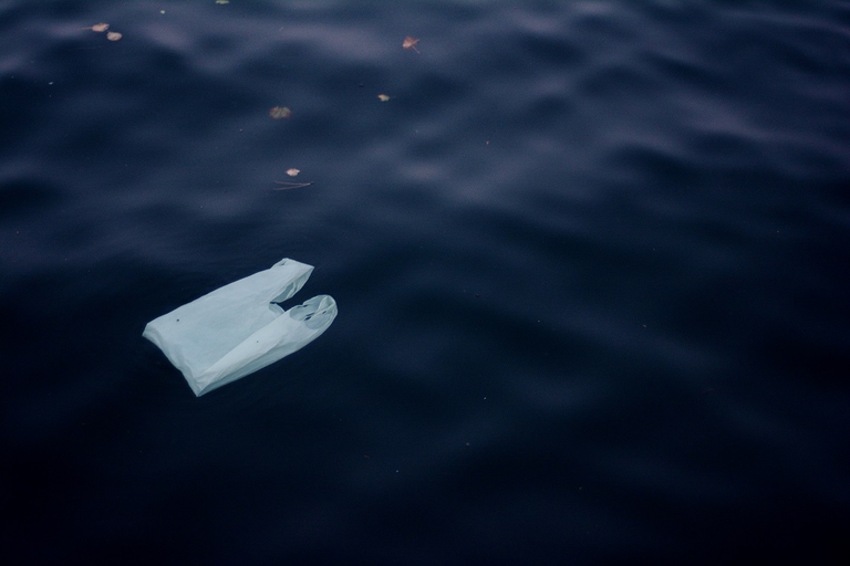 Busta di plastica in mare