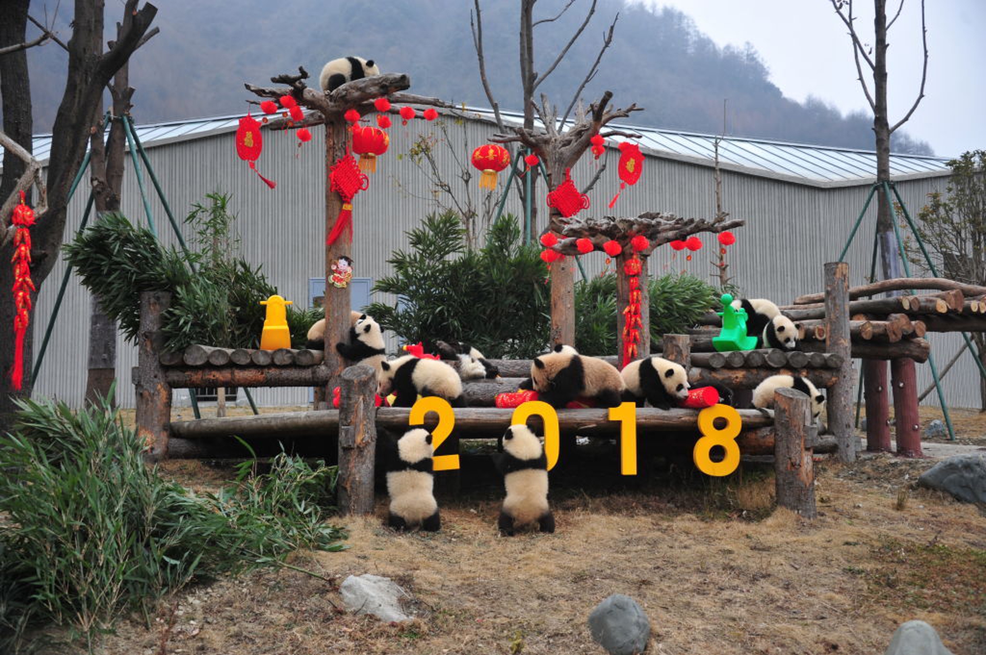 Il Capodanno cinese, festeggiamenti in tutto il mondo