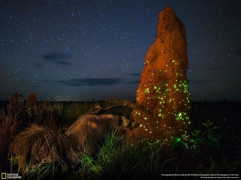 marcio cabral national geographic