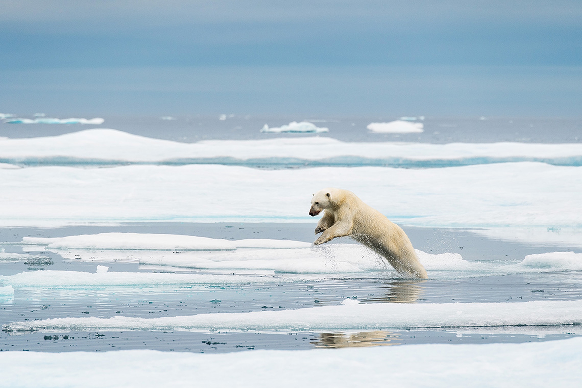 I am fragile, regia di Florian Ledoux