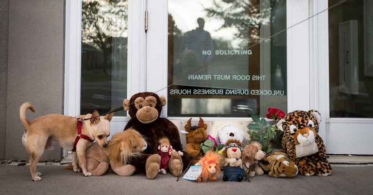 pupazzi davanti allo studio del dentisa per protestare