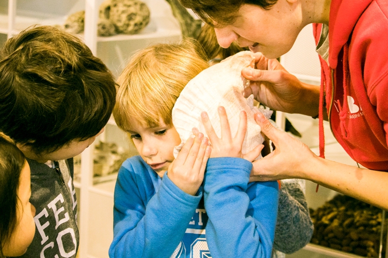 camera meraviglie muba mostra natura