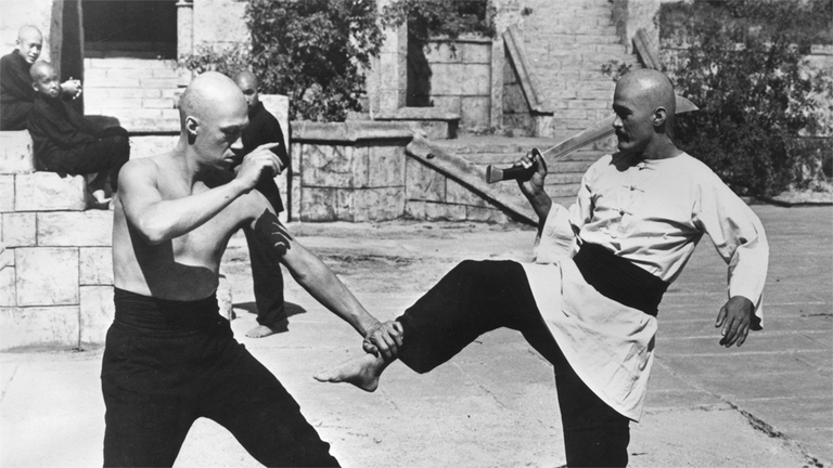 Wushu indica tutti gli stili delle arti marziali cinesi.