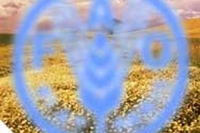 Dalla Fao tre appelli contro la fame