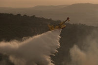 Sardegna in fiamme, ci vorranno 15 anni per sanare tutti i danni