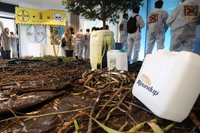 Glifosato, la giustizia americana conferma la condanna per Monsanto