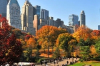 A New York si respira un’aria nuova, pulita