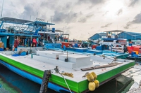 Canna e lenza, così la pesca dei tonni alle Maldive garantisce la prosperità dei pesci