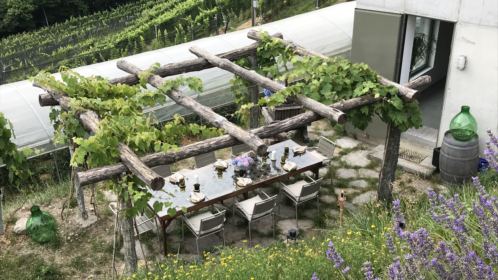 Il vino biologico dell'azienda Bianchi © LifeGate