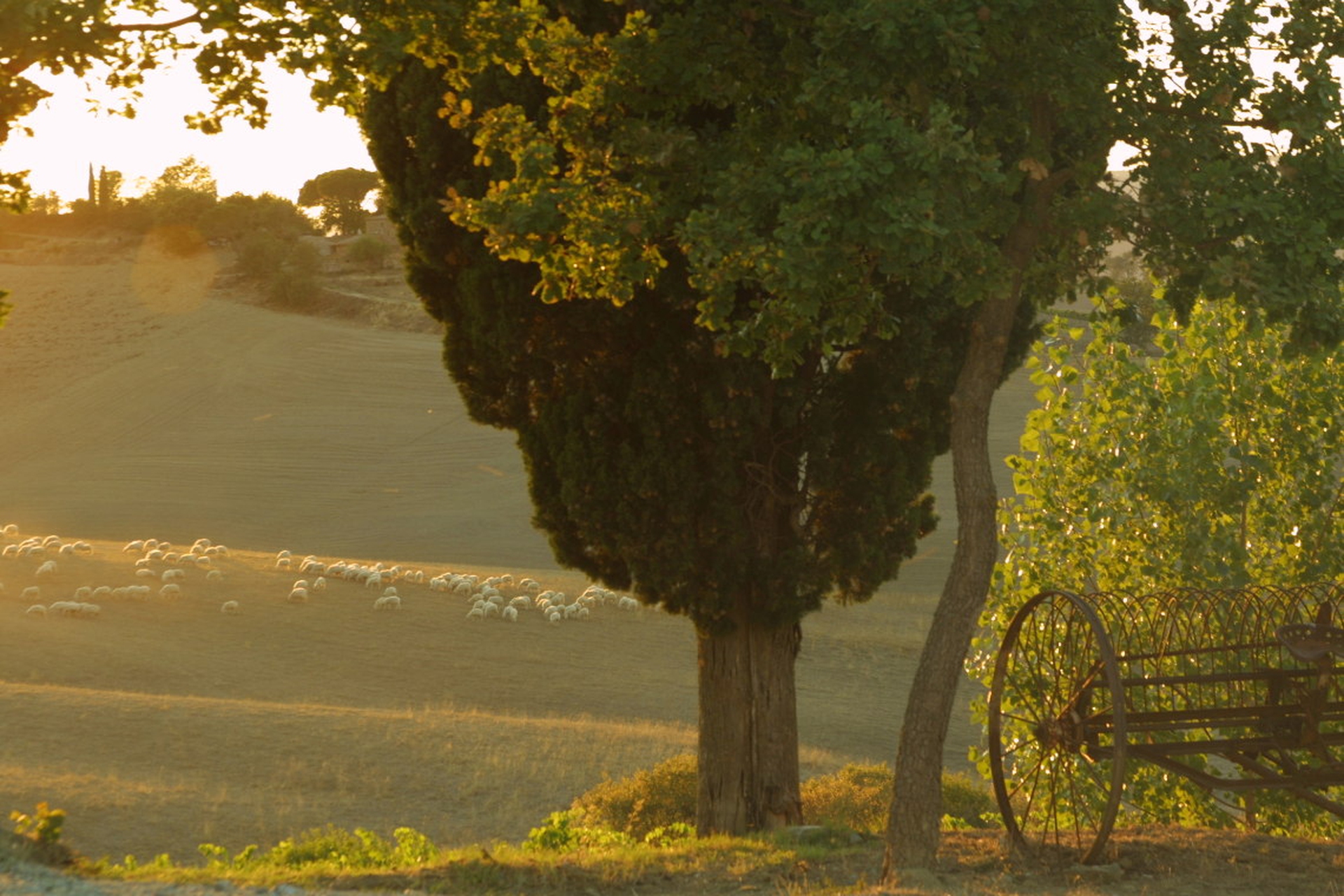 Paradiso di Frassina