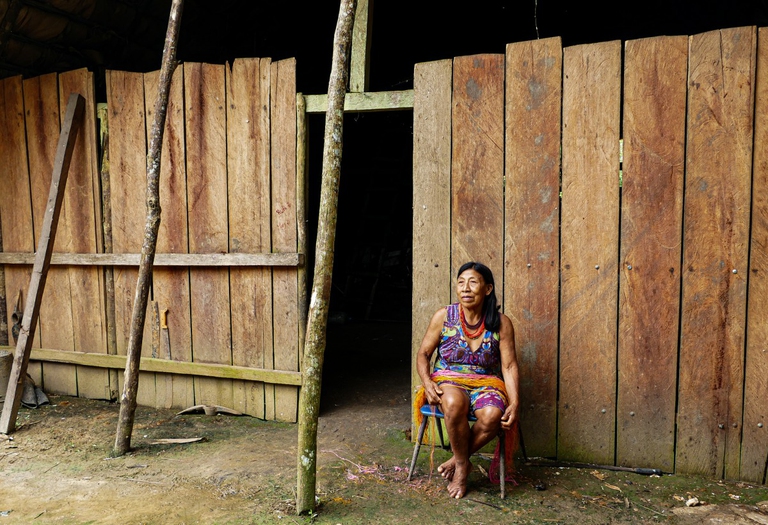 I pikeani, gli anziani saggi Waorani