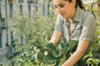 Lisa Casali. Autoproduzione e cucina