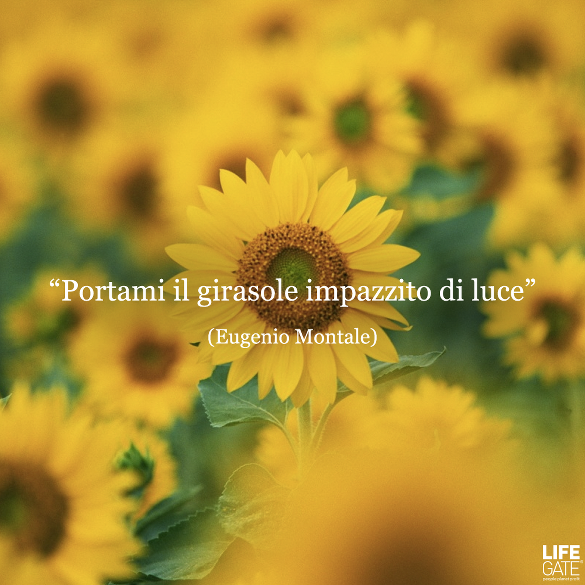 Una giornata tutta di poesia