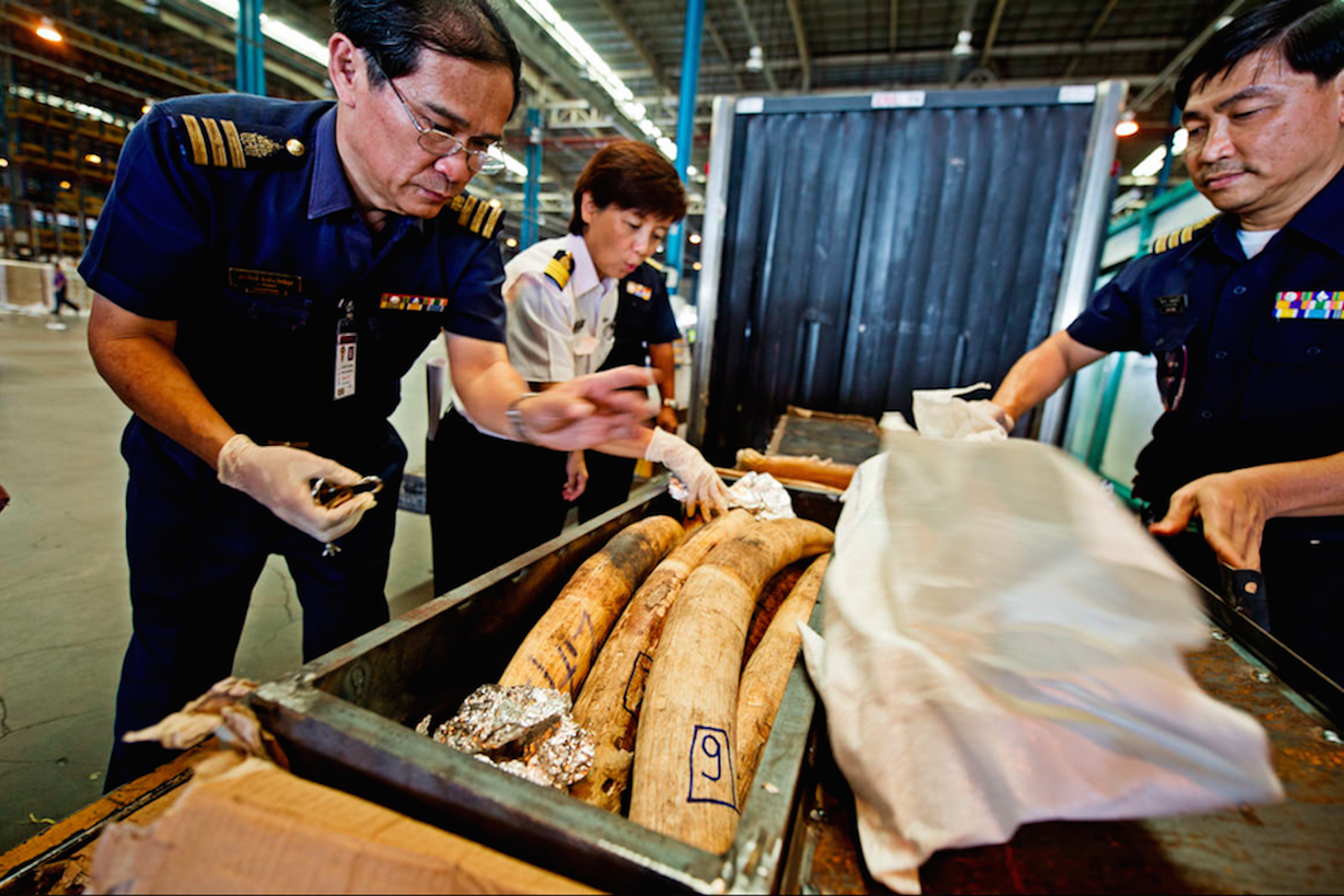 23 intercepted-contraband