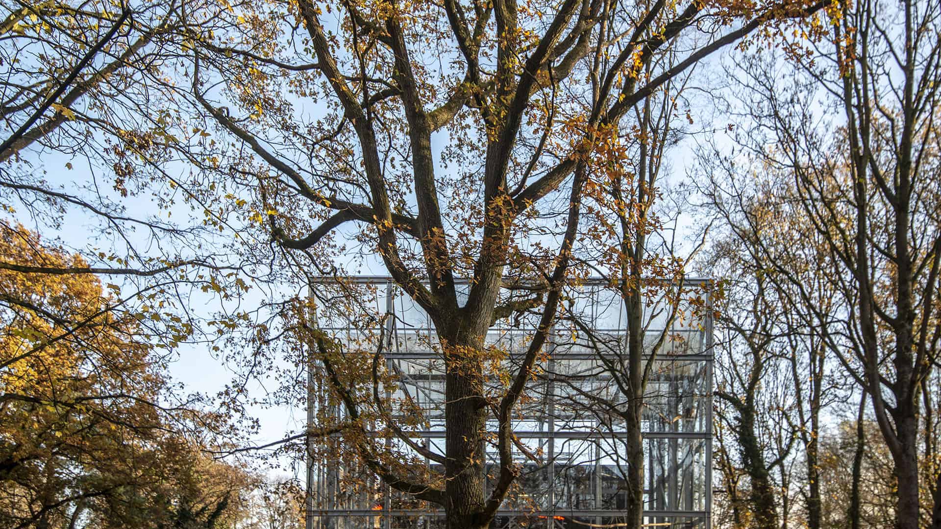 The Battery _ studio Koen Vanmechelen_ exterior view on The Looking Glass _greenhouse installation__ LABIOMISTA_ Genk _BE_ _ Koen Vanmechelen_ 2018 Photo by the city of Genk copia