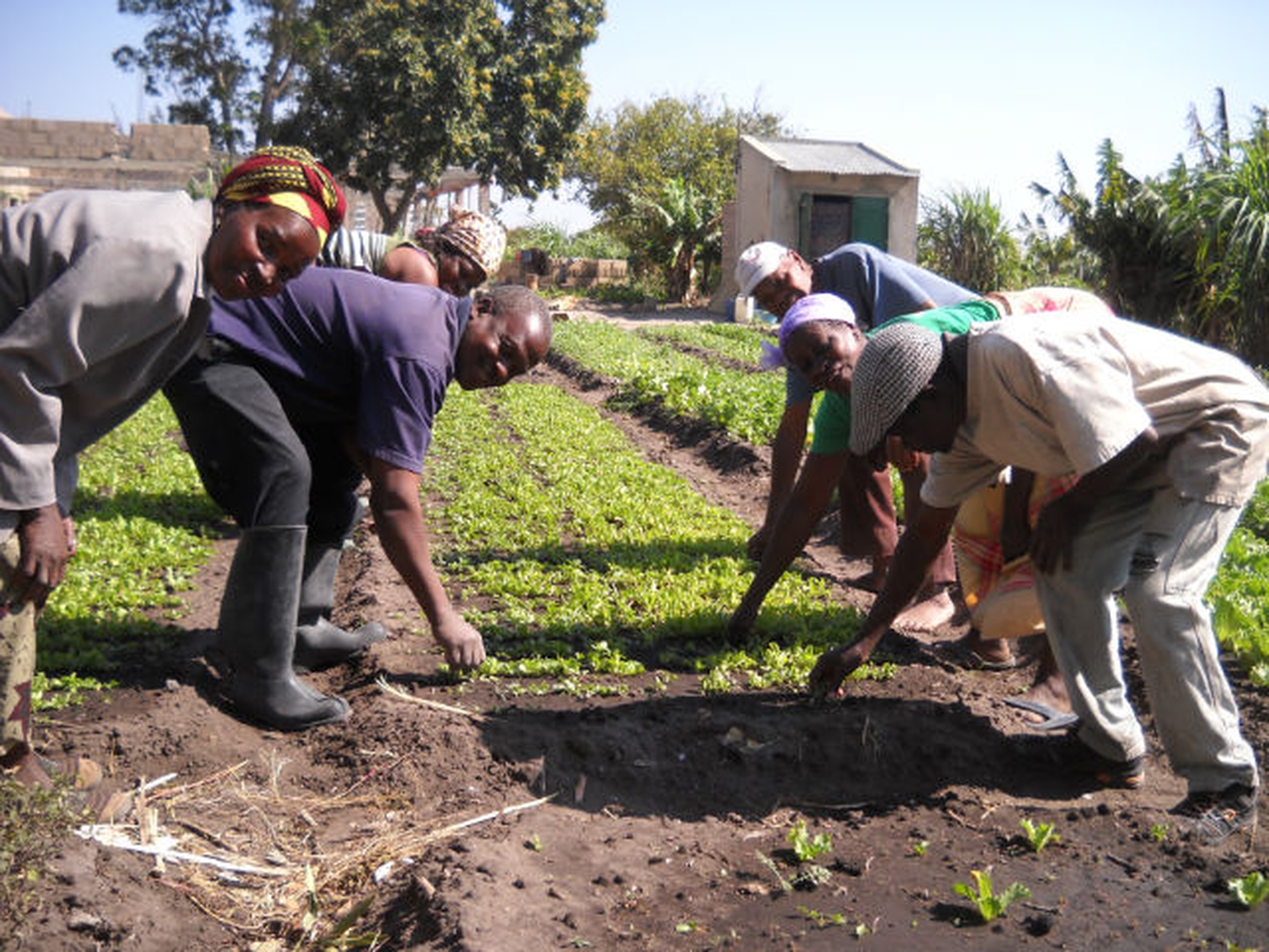 Slow Food for Africa. 10.000 orti per coltivare il futuro