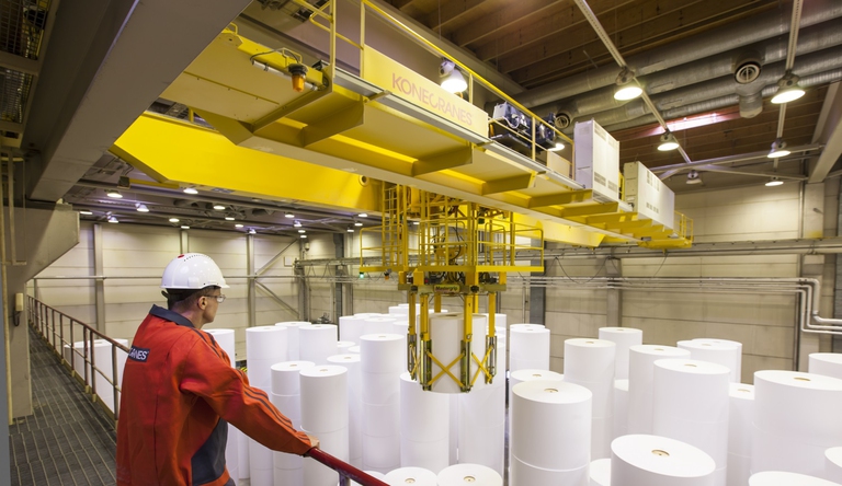 spreco aghi di pino. Industria della carta