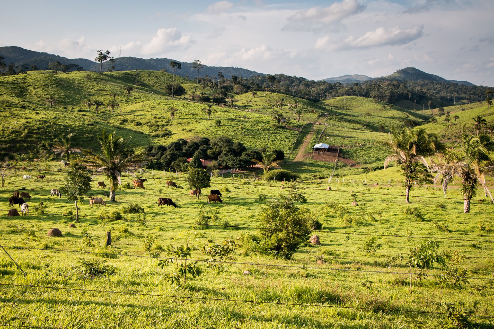 Cambiamenti climatici in Perù, domenica a Presadiretta su Raitre