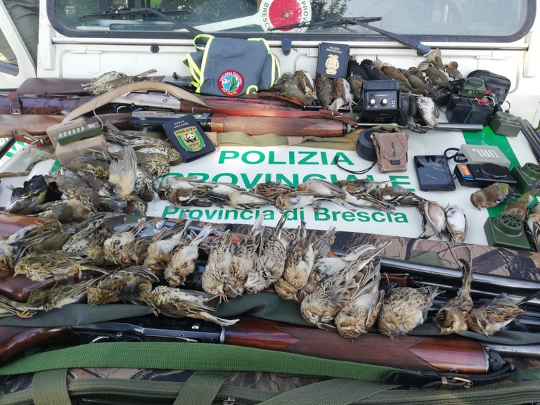 caccia e bracconaggio