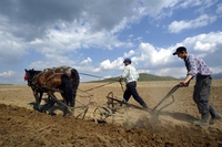 Land grabbing, una piaga che non risparmia nemmeno l’Europa