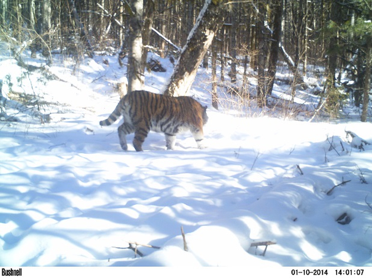 M2E61L201-201R382B318