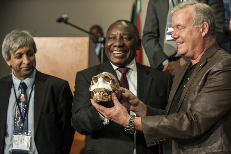 homo naledi 2