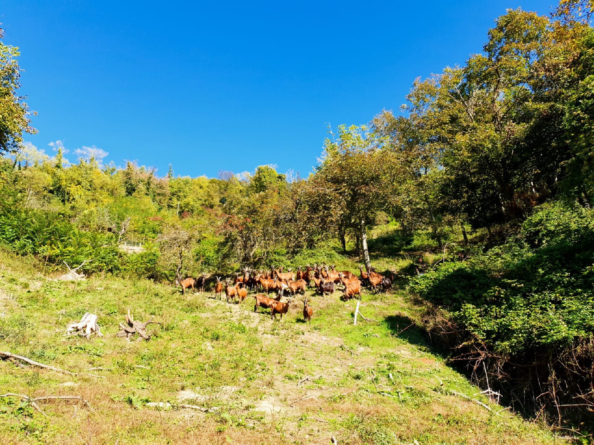 Il territorio vicino Cascina Badin