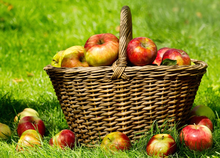 fresh apples basket