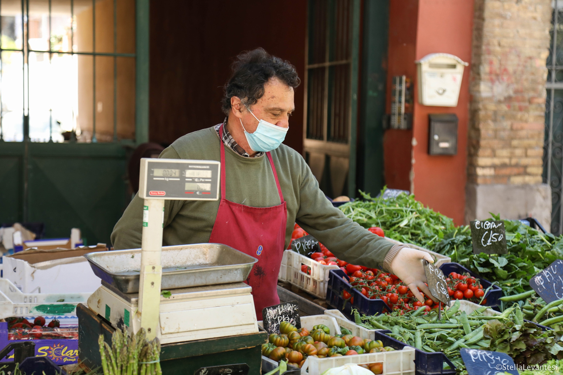mercato-del-pigneto---stella-levantesi