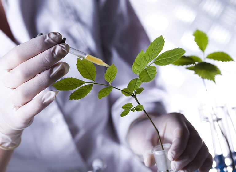 Arkopharma laboratori