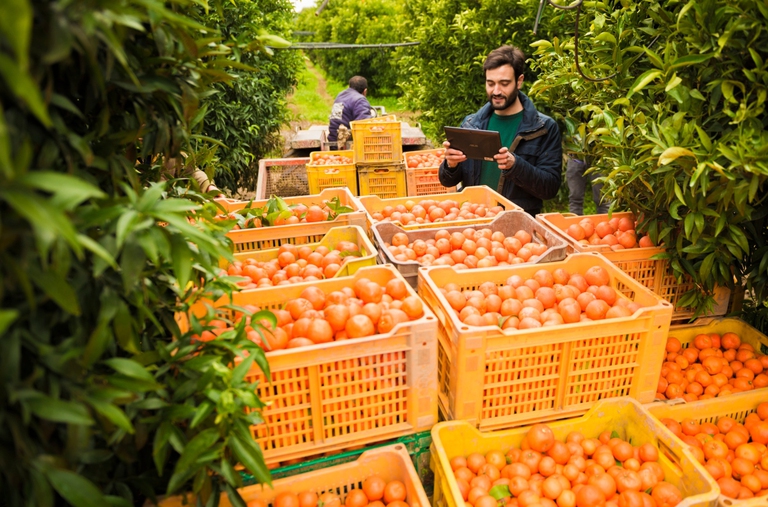 Save the Farm, Biorfarm