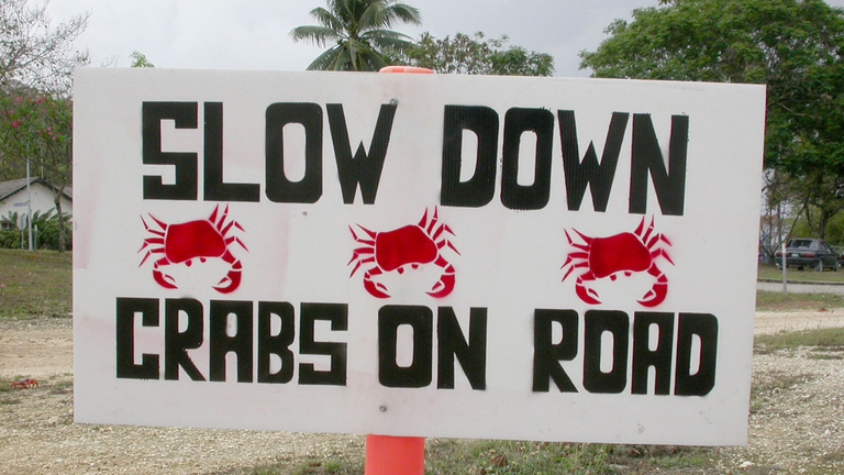 A street sign warns of crabs on road