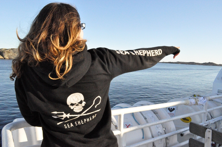 Attivista di Sea Shepherd