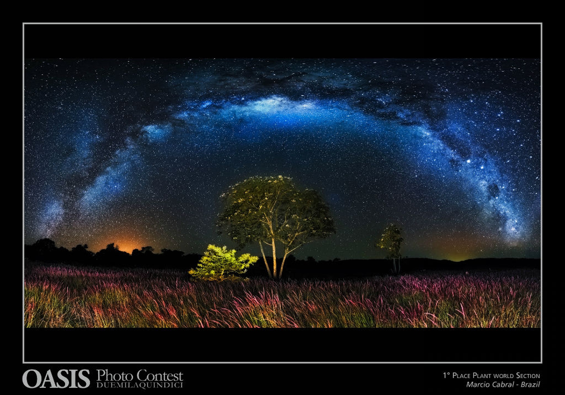 Oasis Photo Contest. Here are the world's most beautiful nature