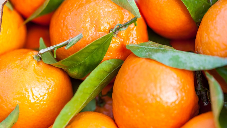 gli ingredienti per la torta di clementine