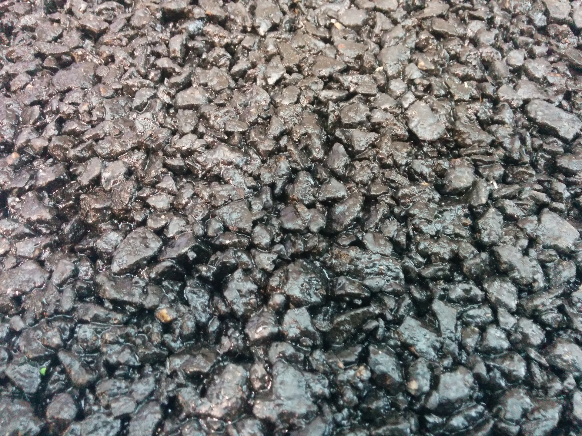 Tutta la green economy è in vetrina a Ecomondo