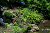 Central Park diventa un laboratorio di ricerca per il clima
