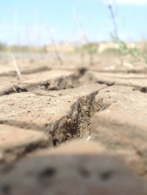 Federica Matteoli, Fao. Così i cambiamenti climatici stanno affamando il mondo