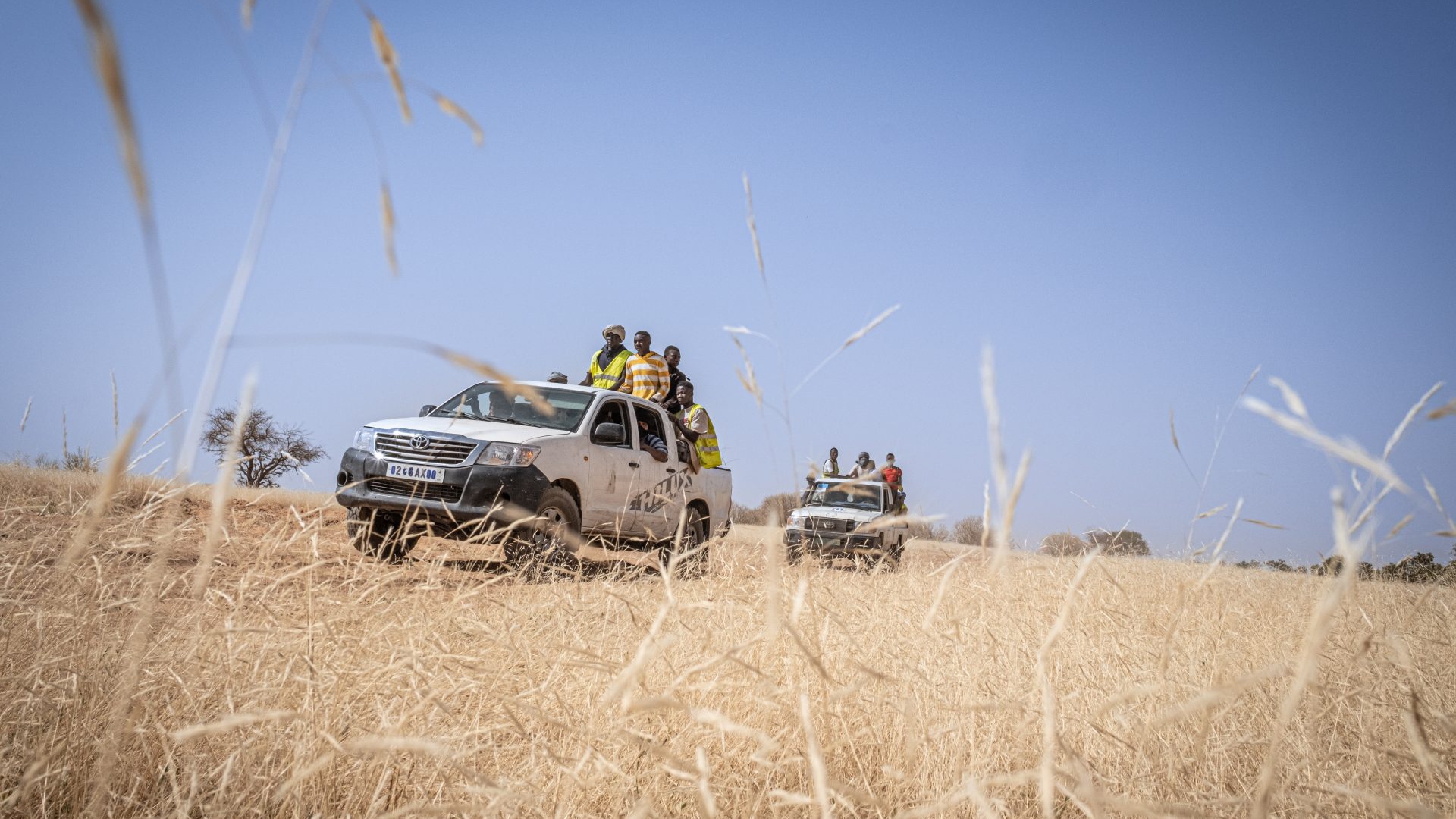 LongForm Sen Mau LifeGate-19